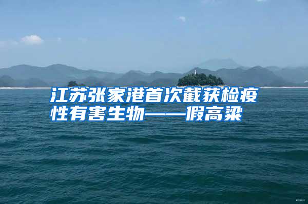 江苏张家港首次截获检疫性有害生物——假高粱
