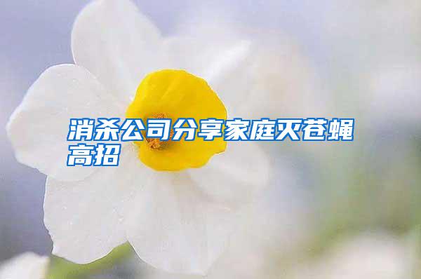 消杀公司分享家庭灭苍蝇高招