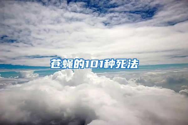 苍蝇的101种死法