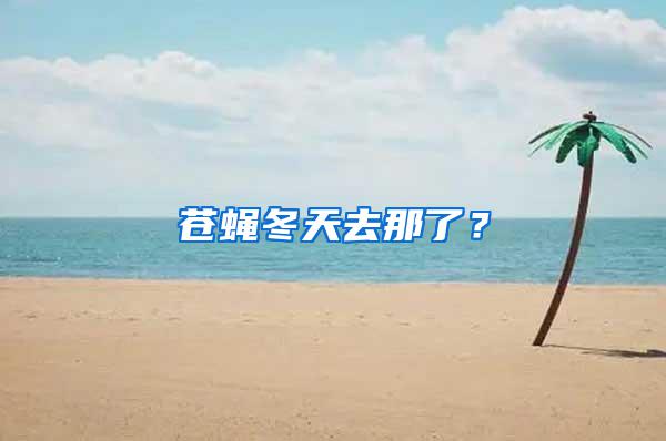 苍蝇冬天去那了？