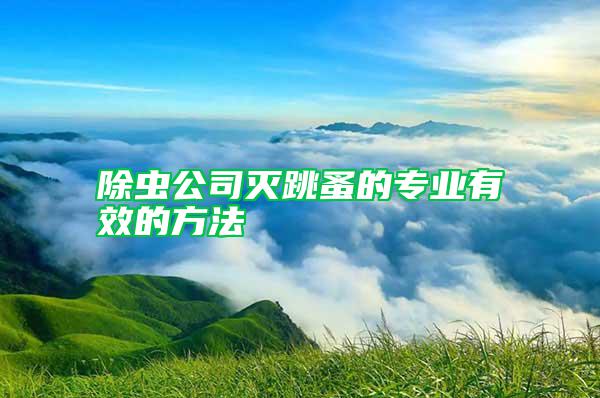 除虫公司灭跳蚤的专业有效的方法