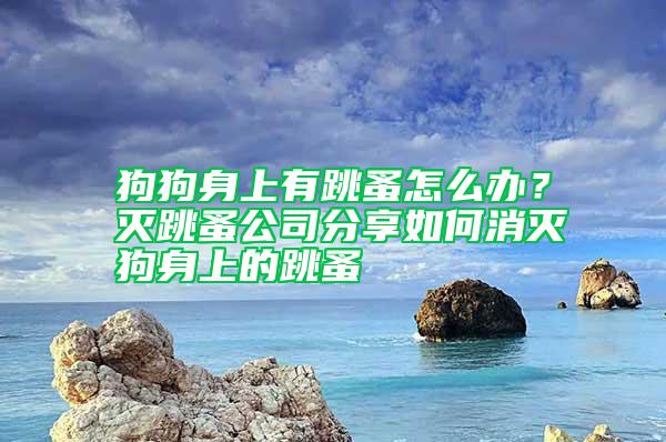 狗狗身上有跳蚤怎么办？灭跳蚤公司分享如何消灭狗身上的跳蚤