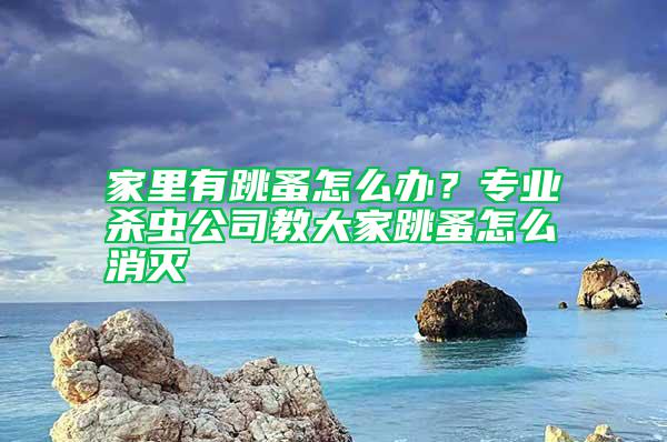 家里有跳蚤怎么办？专业杀虫公司教大家跳蚤怎么消灭