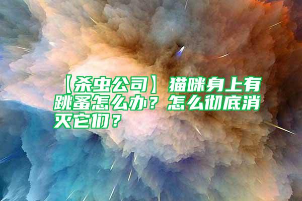 【杀虫公司】猫咪身上有跳蚤怎么办？怎么彻底消灭它们？