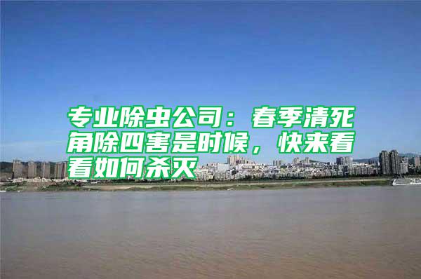 专业除虫公司：春季清死角除四害是时候，快来看看如何杀灭