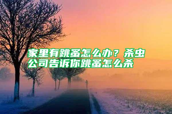 家里有跳蚤怎么办？杀虫公司告诉你跳蚤怎么杀