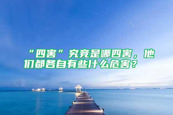 “四害”究竞是哪四害，他们都各自有些什么危害？