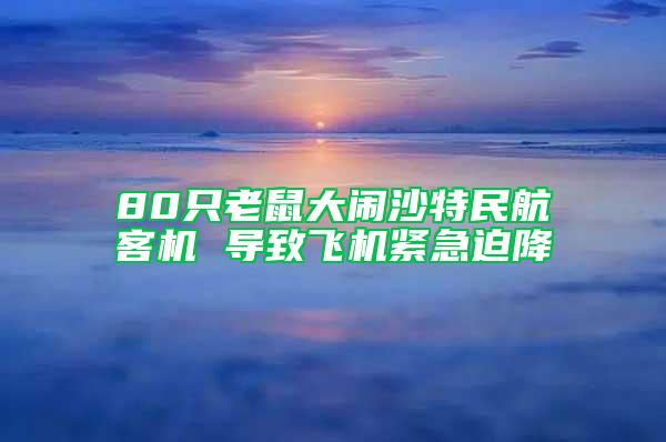 80只老鼠大闹沙特民航客机 导致飞机紧急迫降