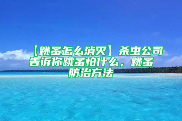 【跳蚤怎么消灭】杀虫公司告诉你跳蚤怕什么，跳蚤防治方法