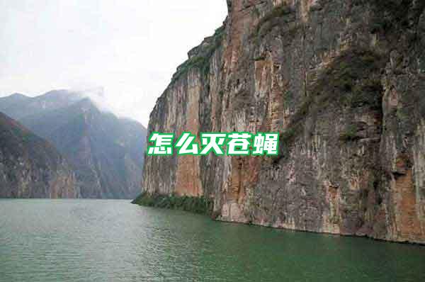 怎么灭苍蝇