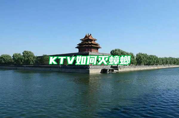 KTV如何灭蟑螂