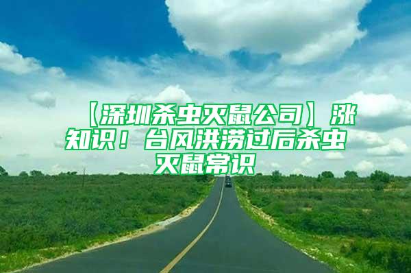 【深圳杀虫灭鼠公司】涨知识！台风洪涝过后杀虫灭鼠常识