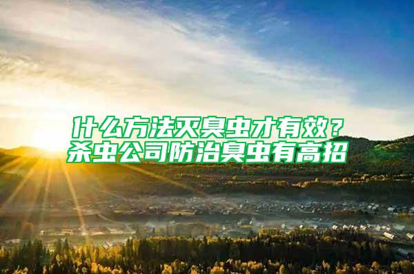 什么方法灭臭虫才有效？杀虫公司防治臭虫有高招