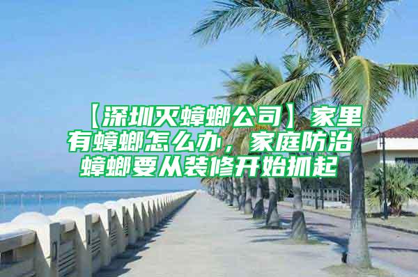 【深圳灭蟑螂公司】家里有蟑螂怎么办，家庭防治蟑螂要从装修开始抓起