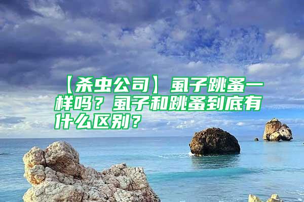 【杀虫公司】虱子跳蚤一样吗？虱子和跳蚤到底有什么区别？