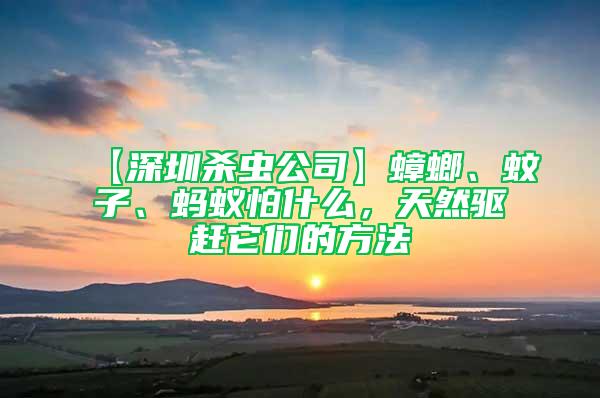 【深圳杀虫公司】蟑螂、蚊子、蚂蚁怕什么，天然驱赶它们的方法