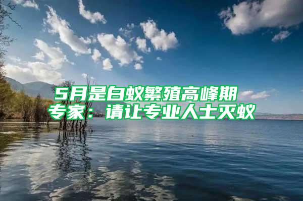 5月是白蚁繁殖高峰期 专家：请让专业人士灭蚁