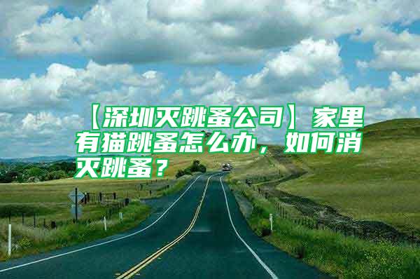 【深圳灭跳蚤公司】家里有猫跳蚤怎么办，如何消灭跳蚤？