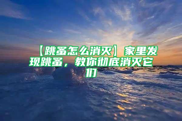 【跳蚤怎么消灭】家里发现跳蚤，教你彻底消灭它们