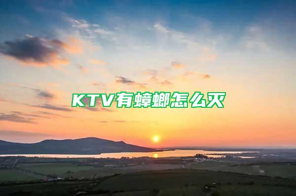 KTV有蟑螂怎么灭