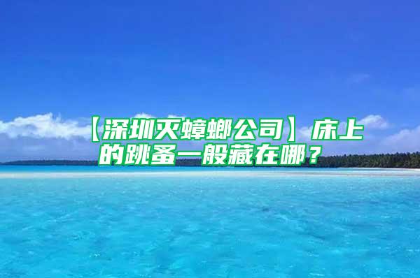 【深圳灭蟑螂公司】床上的跳蚤一般藏在哪？