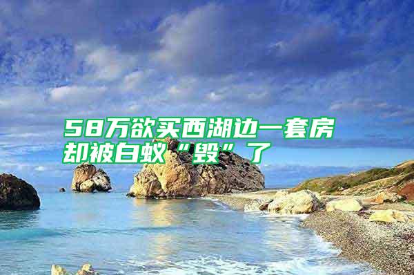 58万欲买西湖边一套房 却被白蚁“毁”了