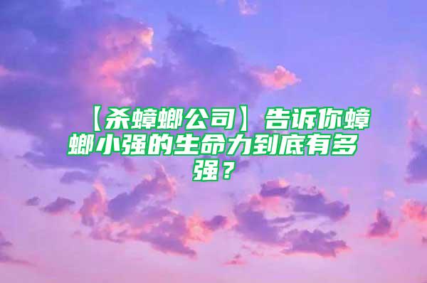 【杀蟑螂公司】告诉你蟑螂小强的生命力到底有多强？