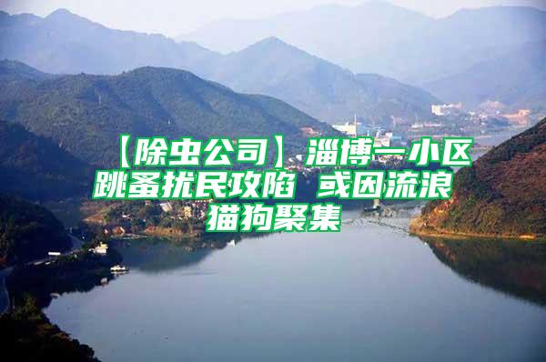 【除虫公司】淄博一小区跳蚤扰民攻陷 或因流浪猫狗聚集