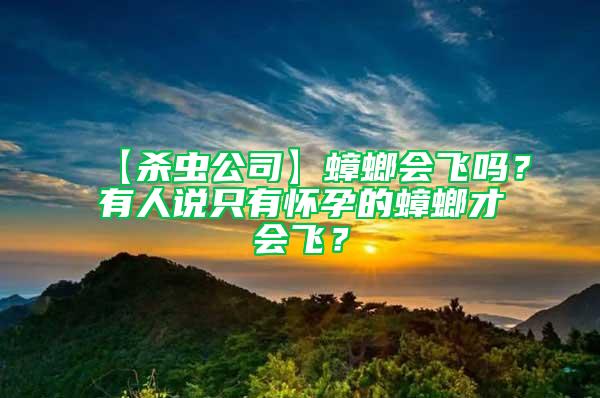 【杀虫公司】蟑螂会飞吗？有人说只有怀孕的蟑螂才会飞？