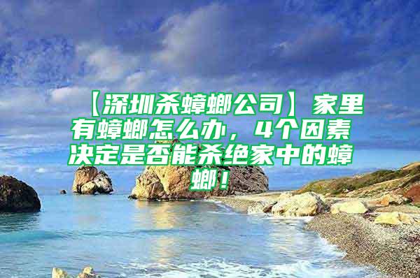 【深圳杀蟑螂公司】家里有蟑螂怎么办，4个因素决定是否能杀绝家中的蟑螂！