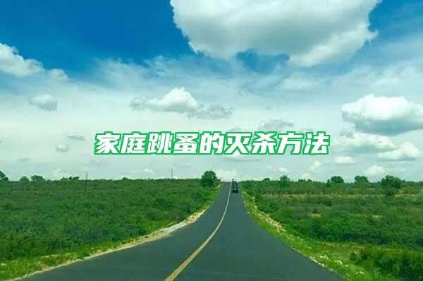 家庭跳蚤的灭杀方法