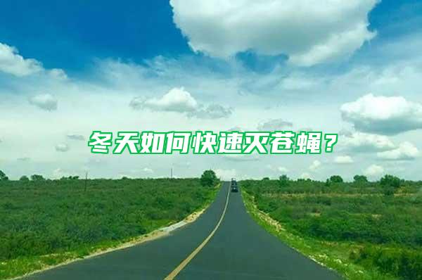 冬天如何快速灭苍蝇？