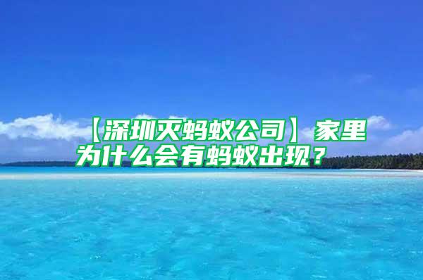 【深圳灭蚂蚁公司】家里为什么会有蚂蚁出现？