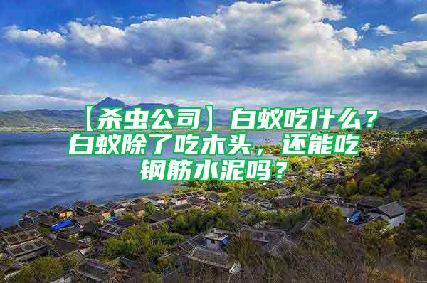 【杀虫公司】白蚁吃什么？白蚁除了吃木头，还能吃钢筋水泥吗？