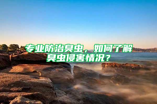 专业防治臭虫，如何了解臭虫侵害情况？