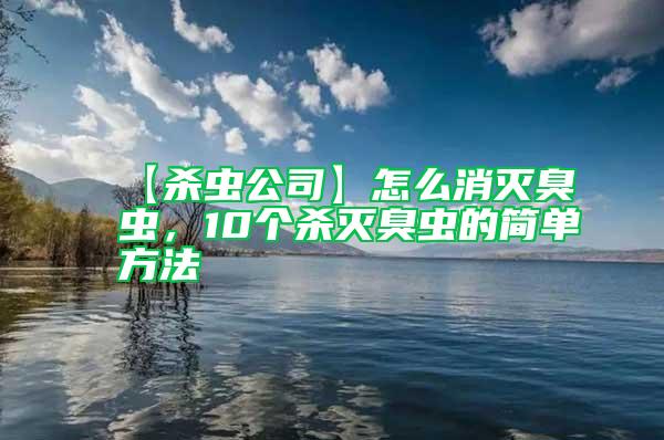 【杀虫公司】怎么消灭臭虫，10个杀灭臭虫的简单方法