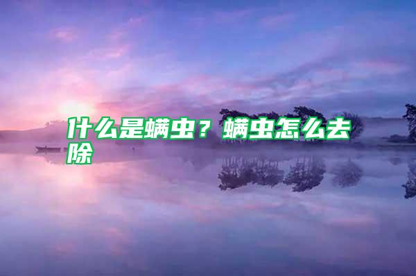 什么是螨虫？螨虫怎么去除