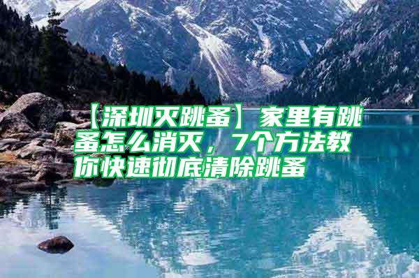 【深圳灭跳蚤】家里有跳蚤怎么消灭，7个方法教你快速彻底清除跳蚤