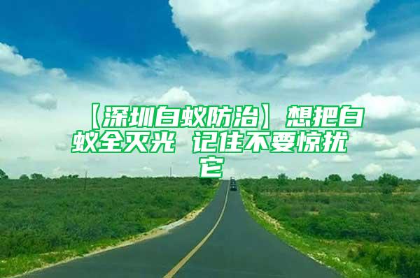 【深圳白蚁防治】想把白蚁全灭光 记住不要惊扰它