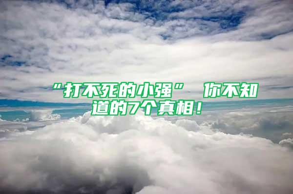 “打不死的小强” 你不知道的7个真相！