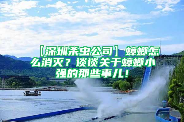 【深圳杀虫公司】蟑螂怎么消灭？谈谈关于蟑螂小强的那些事儿！