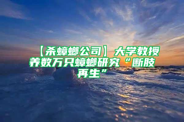 【杀蟑螂公司】大学教授养数万只蟑螂研究“断肢再生”