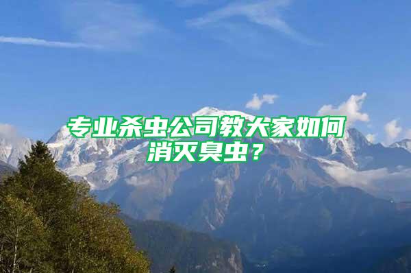 专业杀虫公司教大家如何消灭臭虫？