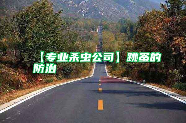 【专业杀虫公司】跳蚤的防治