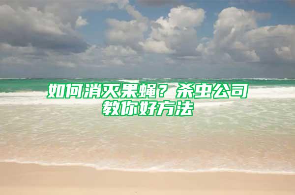 如何消灭果蝇？杀虫公司教你好方法