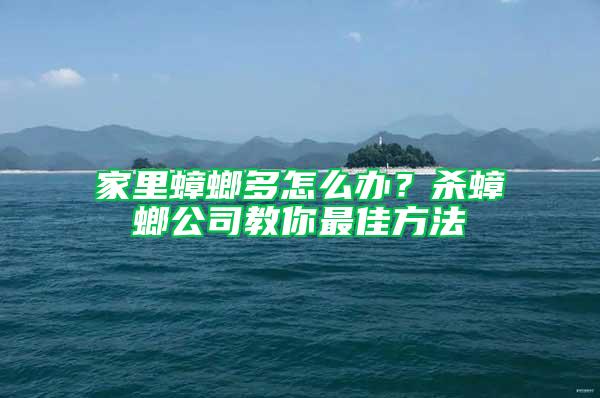 家里蟑螂多怎么办？杀蟑螂公司教你最佳方法