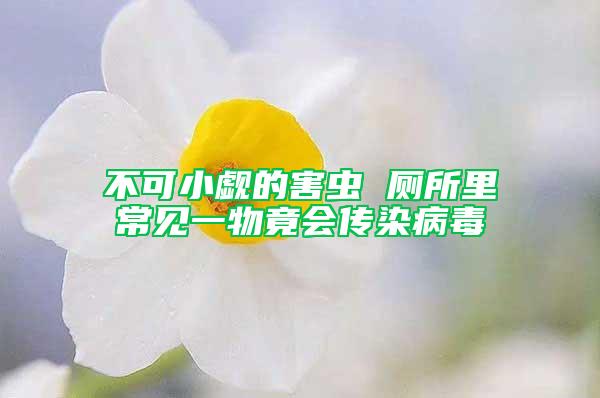 不可小觑的害虫 厕所里常见一物竟会传染病毒