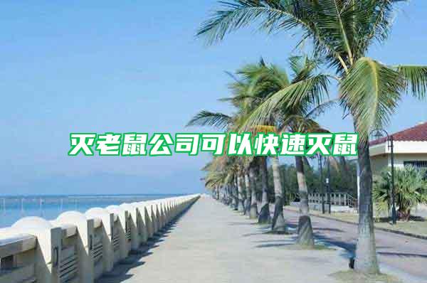 灭老鼠公司可以快速灭鼠