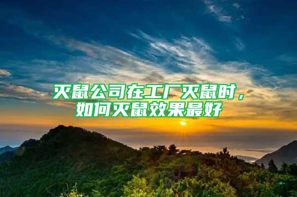 灭鼠公司在工厂灭鼠时，如何灭鼠效果最好