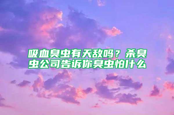 吸血臭虫有天敌吗？杀臭虫公司告诉你臭虫怕什么